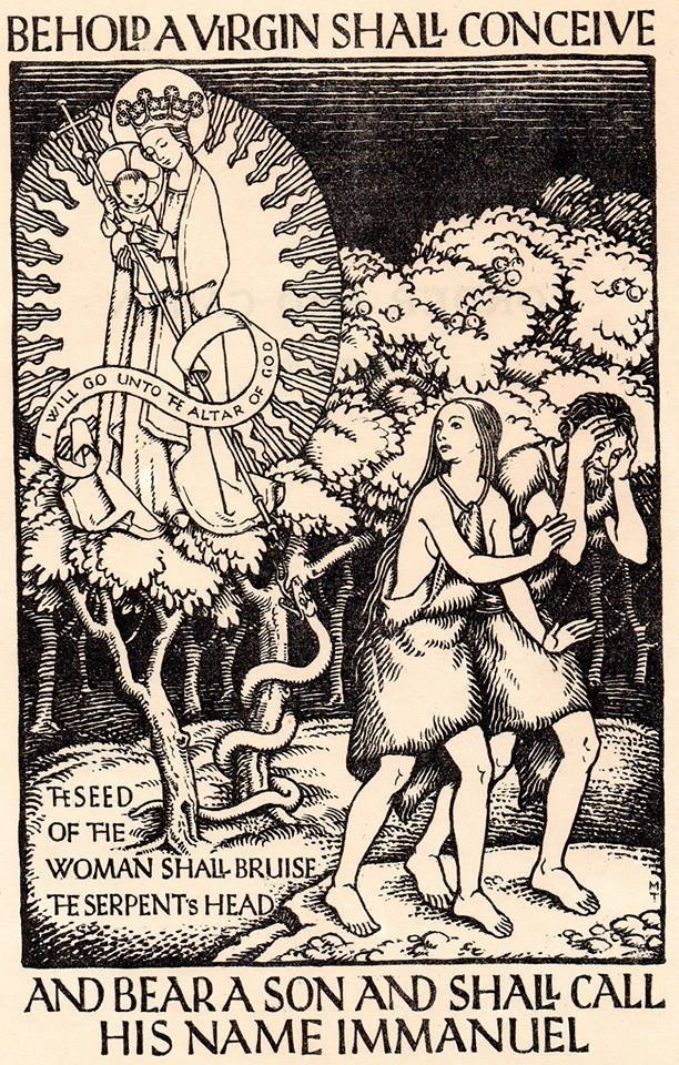 TraversVirginConceive